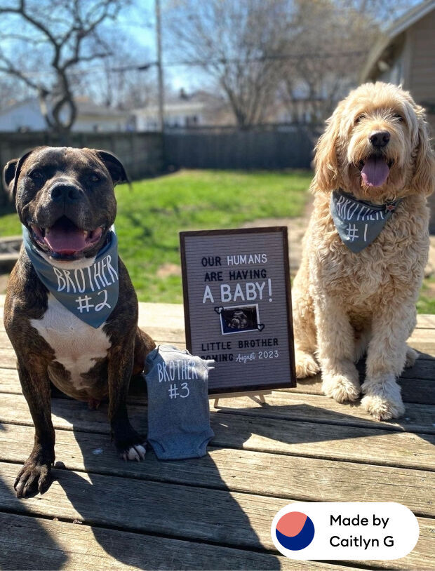 Baby announcement sign along with baby onesies and customized baby announcement dog bandanas