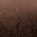 Premium Vinyl&trade; Textured Metallic Sampler, Dark Metals - Permanent