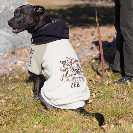 Iron-On im Vorteilspack (1,5 m / 5 Fu&szlig;), Magenta
